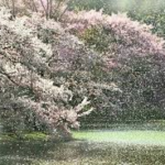 02df9d9f43839fd056e15047b624598d