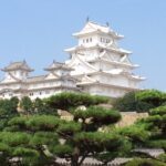 84c1248d0e1cad28cdb2cf7932c0431c