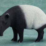 o0320022013057629158