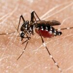 JA-AB252_130716_G_20130716030135