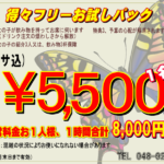 H28.2得々フリーお試しパック 新